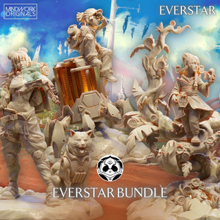 Everstar Bundle