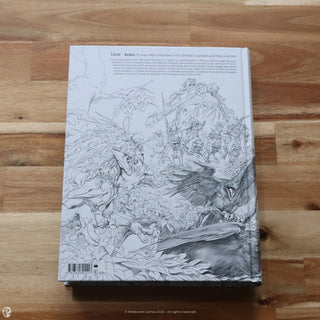 Even Mehl Amundsen: Tegn Redux