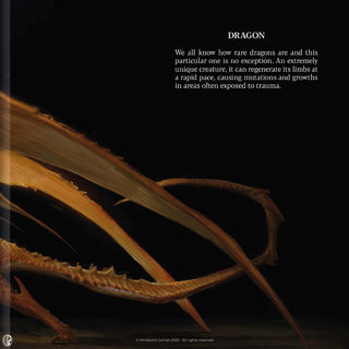 Björn Hurri: Abominations