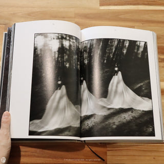 Nona Limmen - The Age of the Succubus