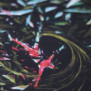 Dominik Mayer - Prismatic Ending