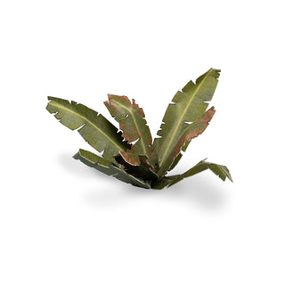 Laser Plants: Banana Tree