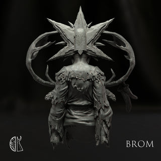 BROM:  Lord Kashaol