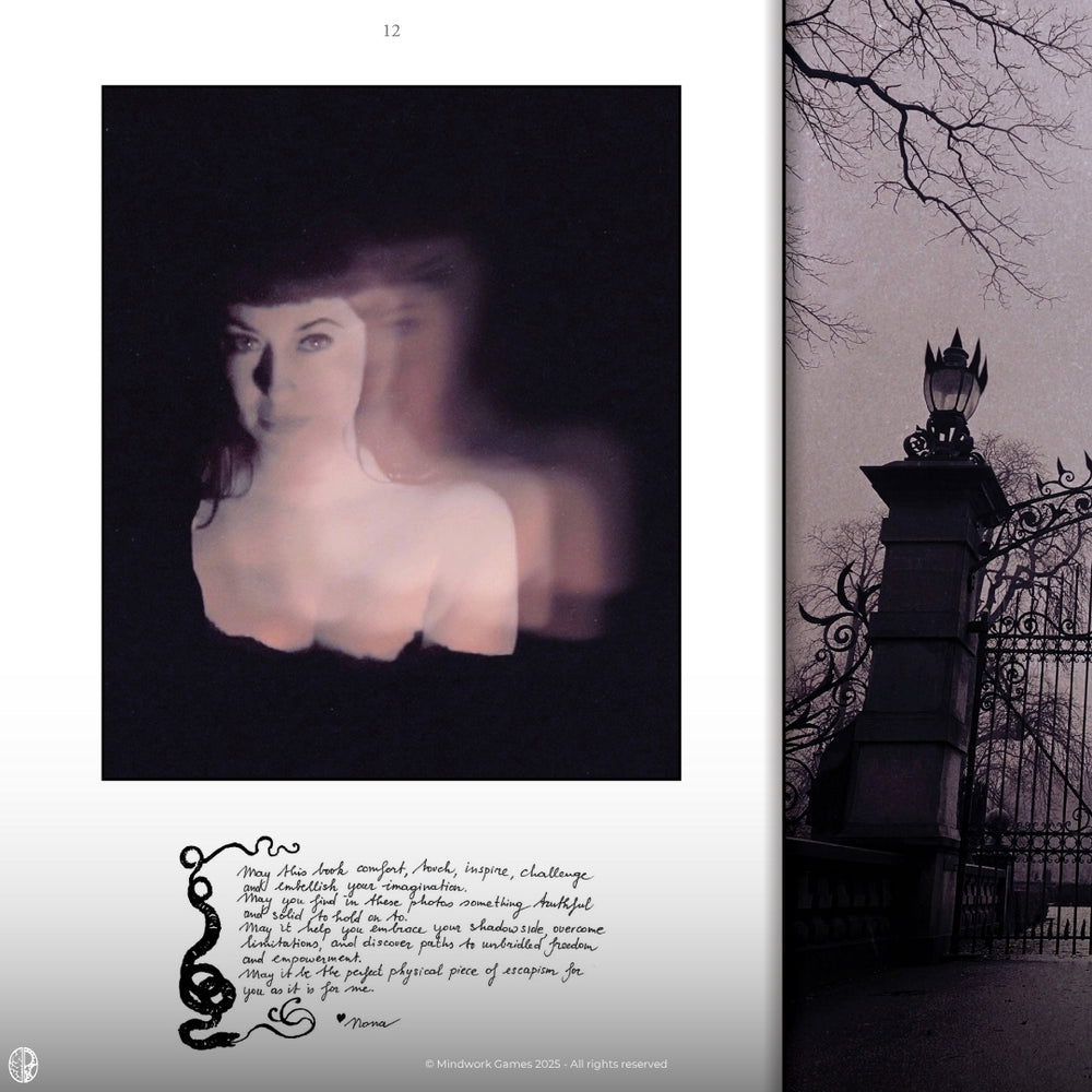 
                  
                    Nona Limmen - The Age of the Succubus
                  
                
