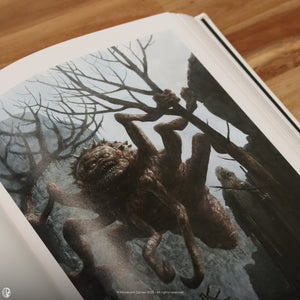 
                  
                    CODEX Obscurus
                  
                