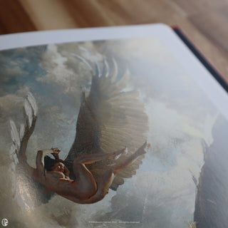 #hardcover 2