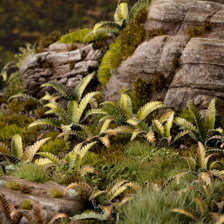 Laser Plants: Deer Fern