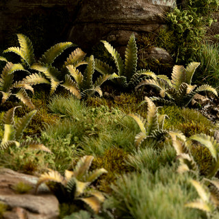 Laser Plants: Deer Fern