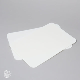 Wet Palette replacement: 2 Anti-bacterical silicone sponges